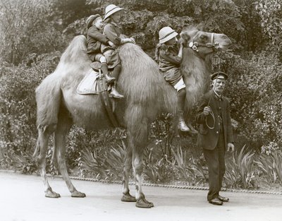 Een Bactrische Kameelrit met verzorger en drie kinderen in de London Zoo, mei 1914 door Frederick William Bond